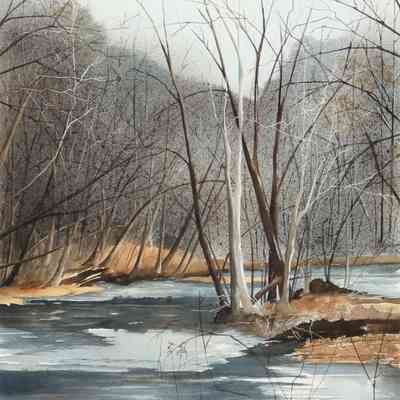 Winter on West Fork