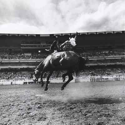 Cowboy Bucking Horse, Calgary, 1978