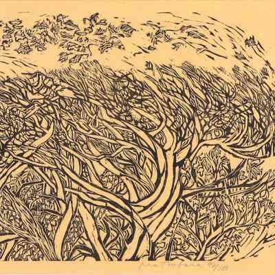 Wind (Walden Pond by Thoreau) 96/100