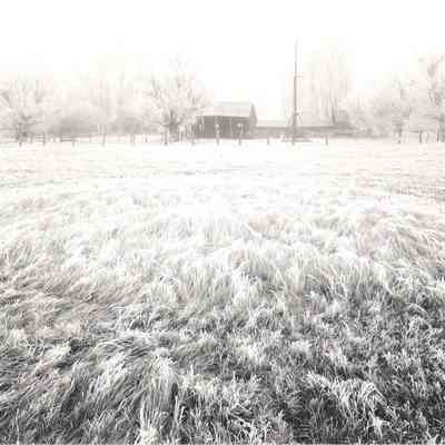 De Chammbeau Ranch, Frost and Fog