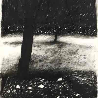 Under the Trees