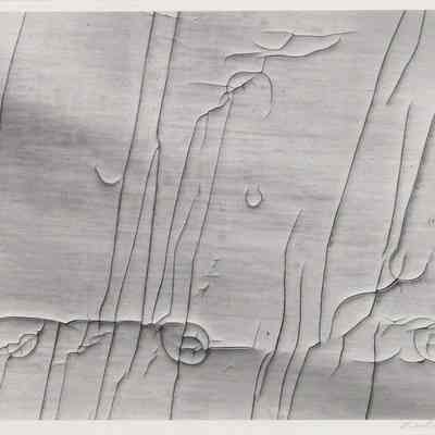 Cracked Wallpaper