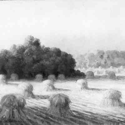 Wheatfield Landscape