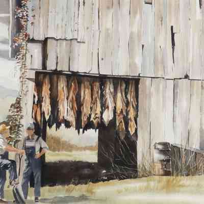 Farming - Tabacco