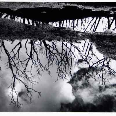 Reflections