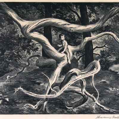 Forest Flight