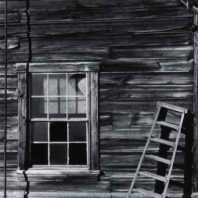House and Ladder