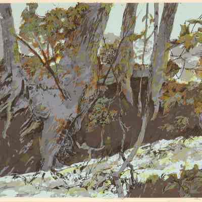 Fall Creek