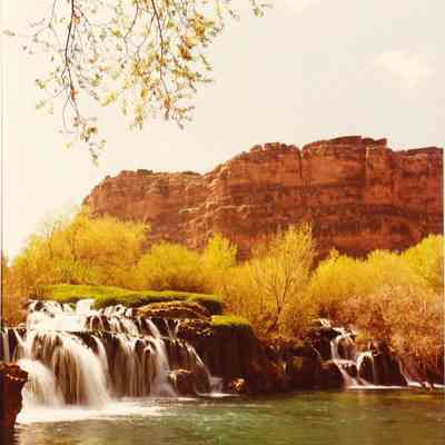 Navajo Falls - AZ