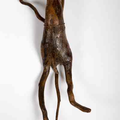 Root Rat