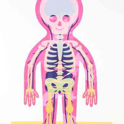 Body