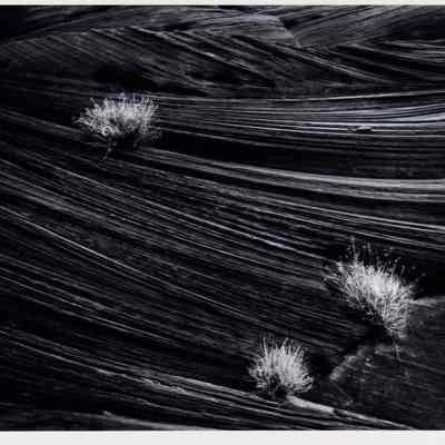 Sandstone and Sage, Paria Canyon, 1978