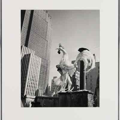 Dali - Ballet Russe (Toumanova with Dali's Rooster Costume on New York Roof Top) 1941
