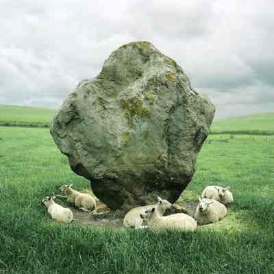 Sheep and Standing Stone