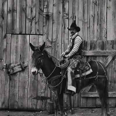 Bob Pulley Astride Redman, Abarv Ranch - Skull Valley, Az