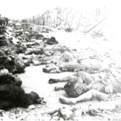 Rows of Corpses at Buchenwald after liberation, May 1945