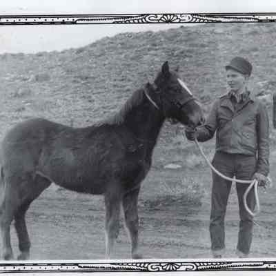 Cactus with a Horse