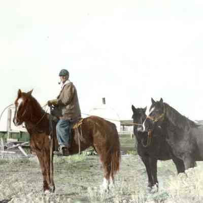 Mike McCleary with Horses
