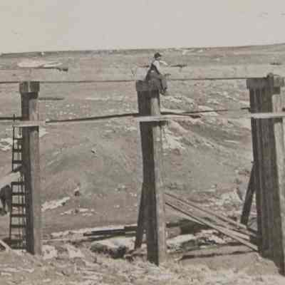 Pile Bridge