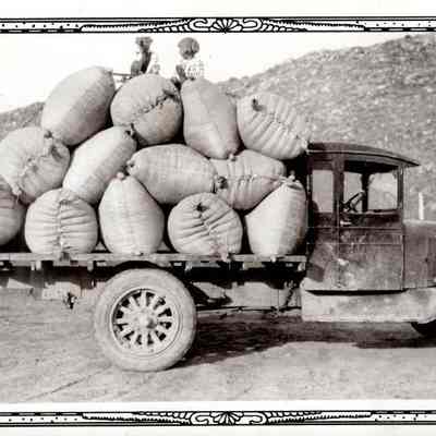 Shipping Wool