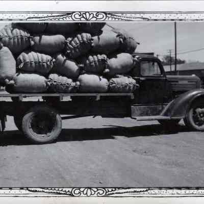 Ranch Truck with Wool Sacks
