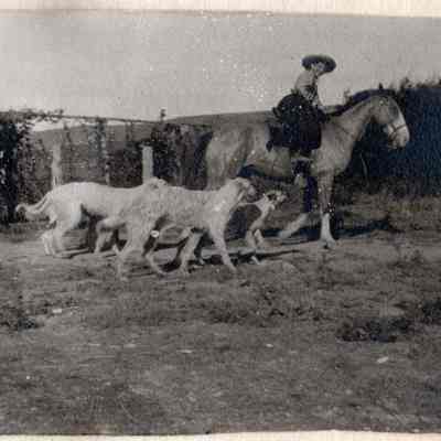 Jean and Hunting Dogs