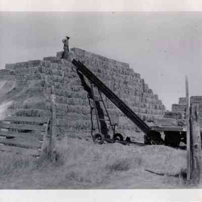 Stacking Hay