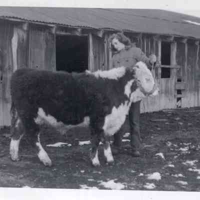 Show Steer