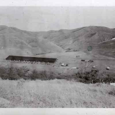 Lambing Shed