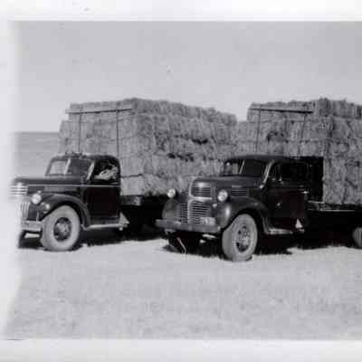 Ranch Trucks