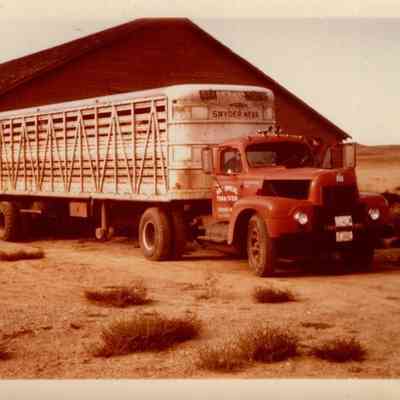 Smeal Cattle Truck
