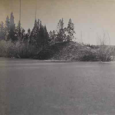 Beaver Dam