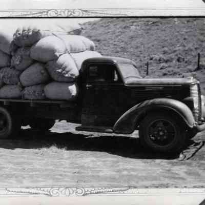Ranch Truck with Wool