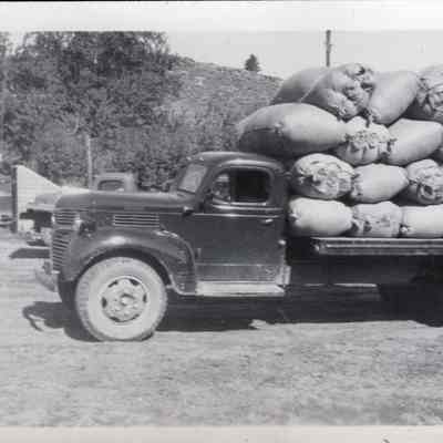 Ranch Truck