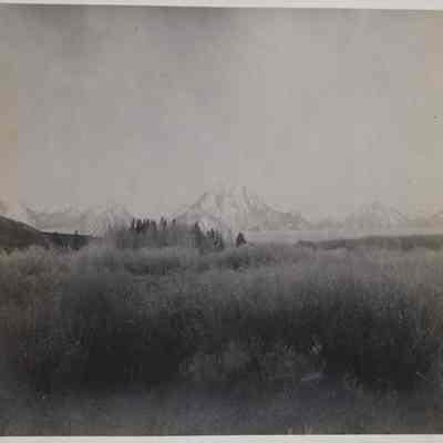 Mt. Moran
