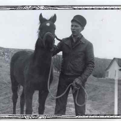 Cactus with Horse