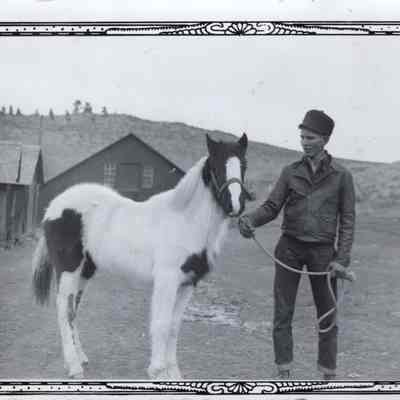 Cactus with Horse