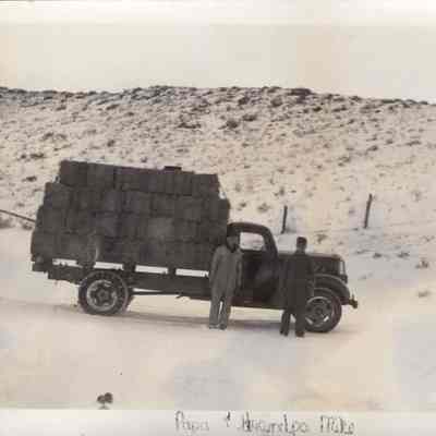 Feed Truck