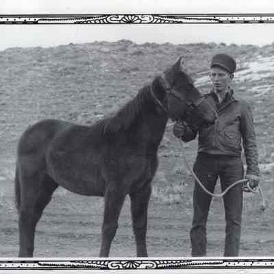Cactus with a Horse