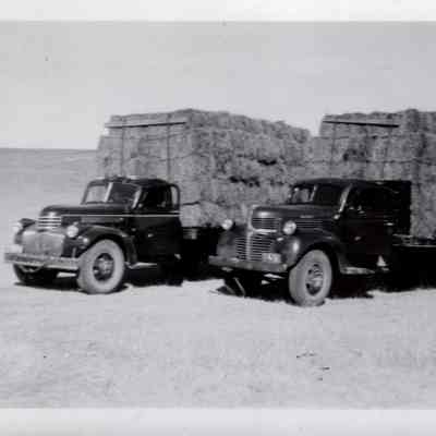 Ranch Trucks