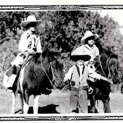 The Wild Ones
