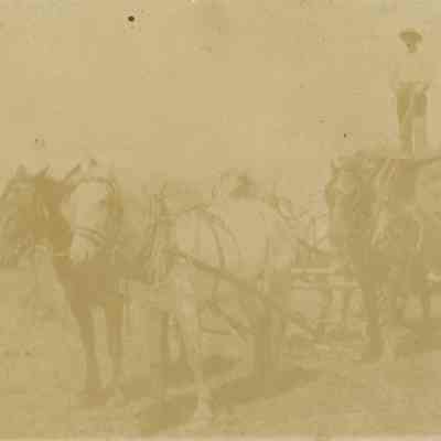 Wagon