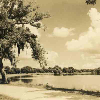 Postcard