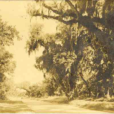 Postcard