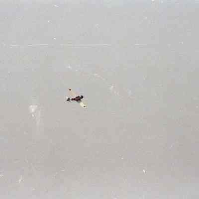 Negative, Film