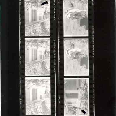 Negative, Film