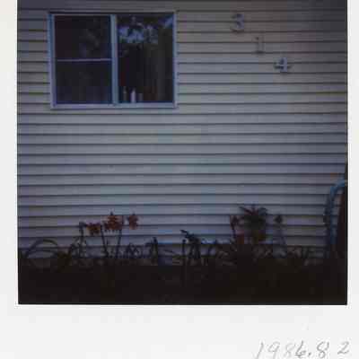 Print, Photographic