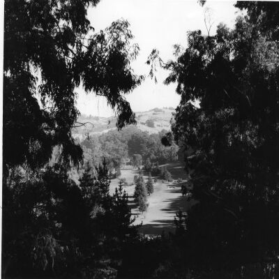 Tilden Park