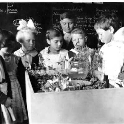 Hawthorne School