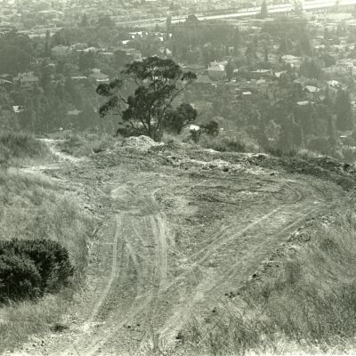 Panoramic view
